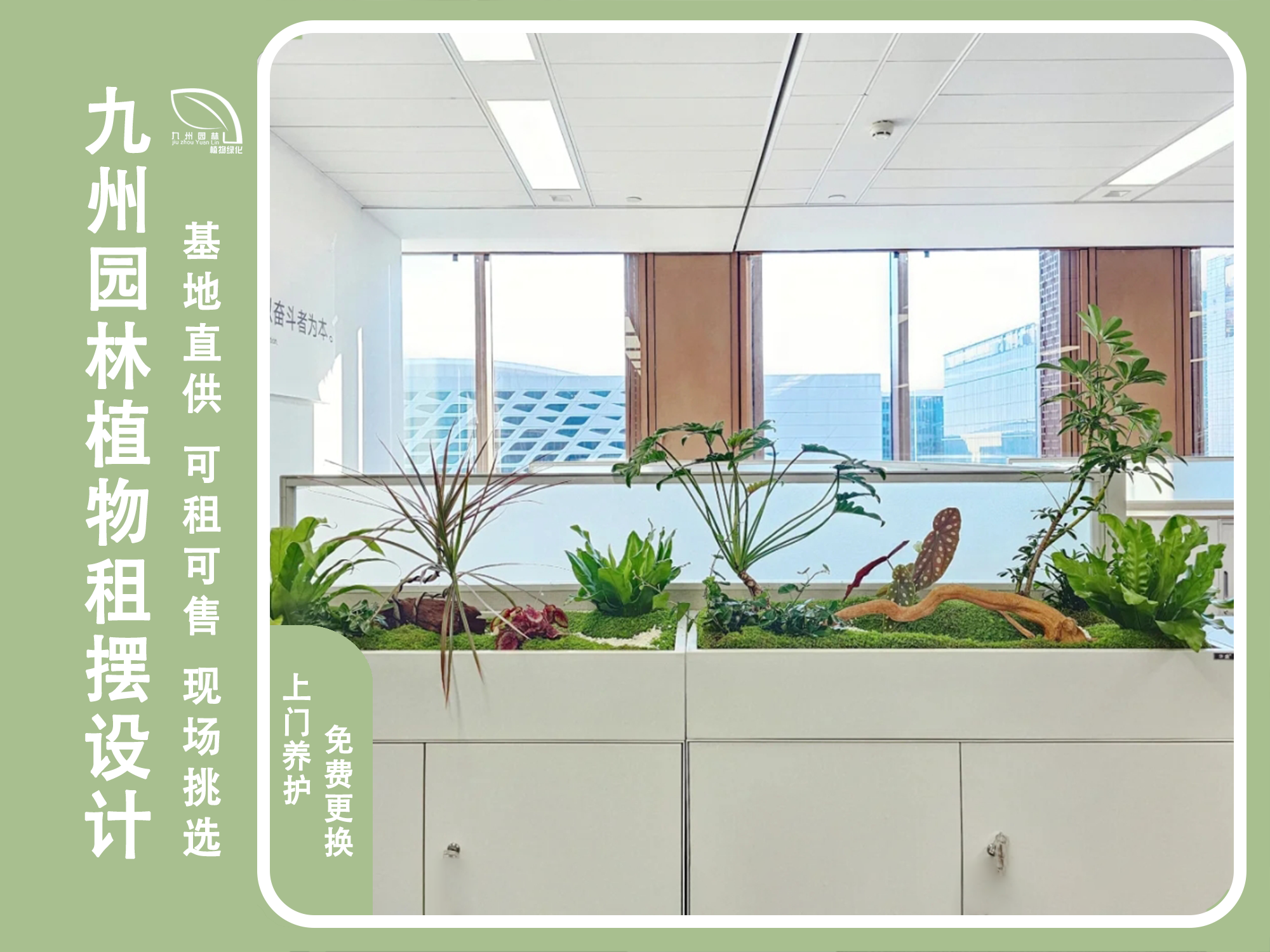 室內(nèi)綠植造景